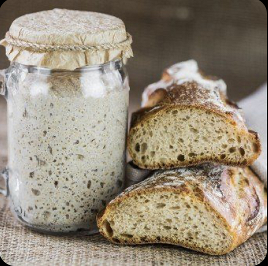 Pasta madre VS lievito di birra